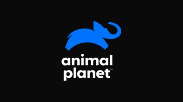 ANIMAL PLANET